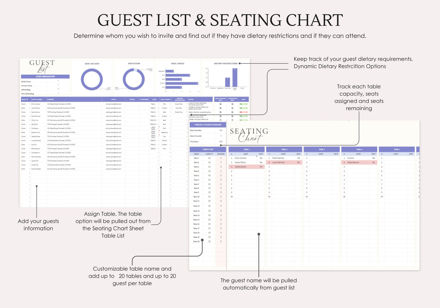 Birthday Party Planning Spreadsheet